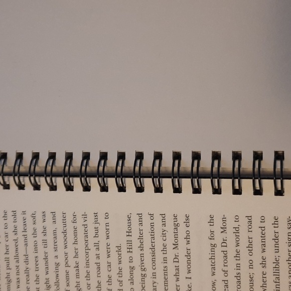 Secret Journal " The Haunting of Hill House" - Picture 3 of 6
